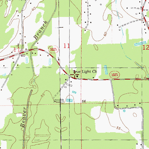 Topographic Map of True Light Church, LA