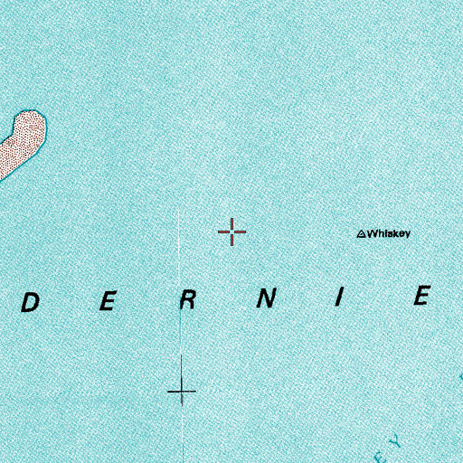 Topographic Map of Whiskey Island, LA
