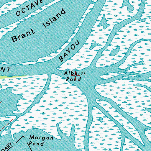 Topographic Map of Alberts Pond, LA