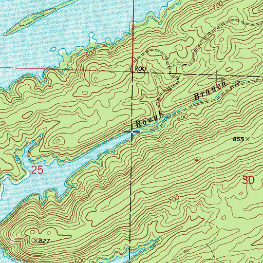 Topographic Map of Rough Branch, AR
