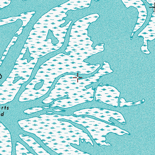 Topographic Map of Bennie Pond, LA