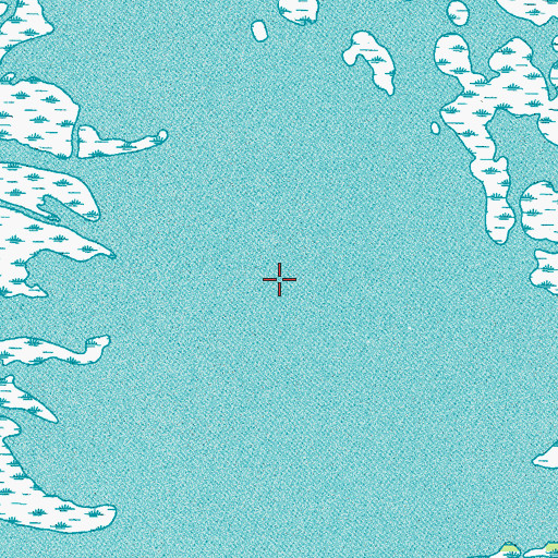 Topographic Map of Pintail Pond, LA