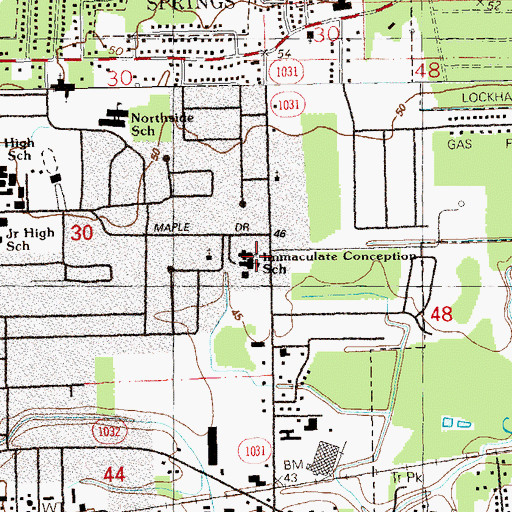 Topographic Map of Immaculate Conception Catholic School, LA