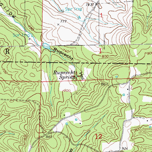 Topographic Map of Ruprecht Spring, AR