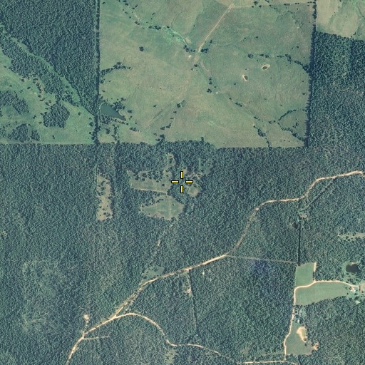 Aerial/Satellite Image of Ruprecht Spring, AR