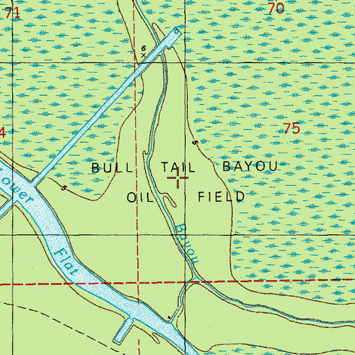 Topographic Map of Bull Tail Bayou Oil Field, LA