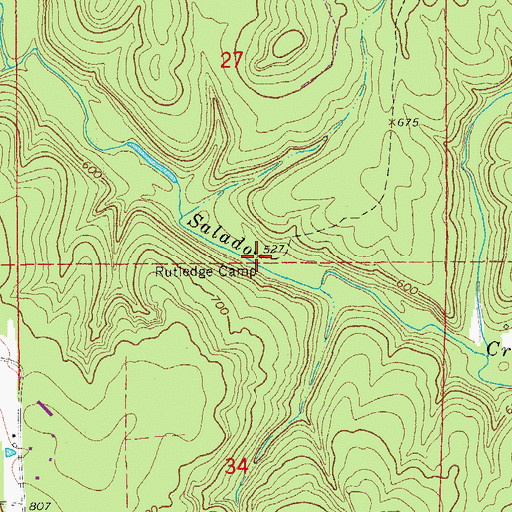 Topographic Map of Rutledge Camp, AR