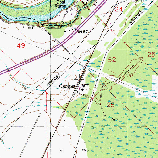 Topographic Map of Cargas, LA