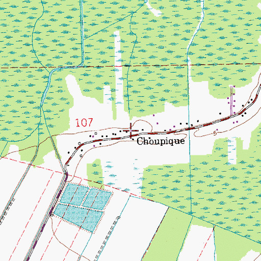 Topographic Map of Choupique, LA