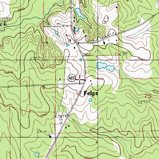 Topographic Map of Felps, LA