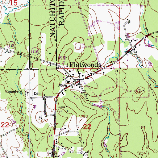 Topographic Map of Flatwoods, LA