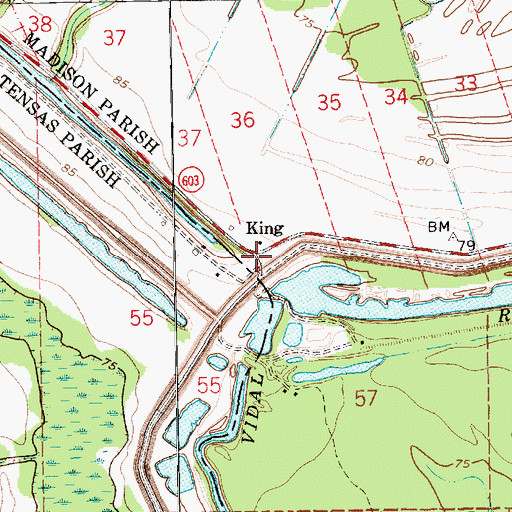 Topographic Map of King, LA