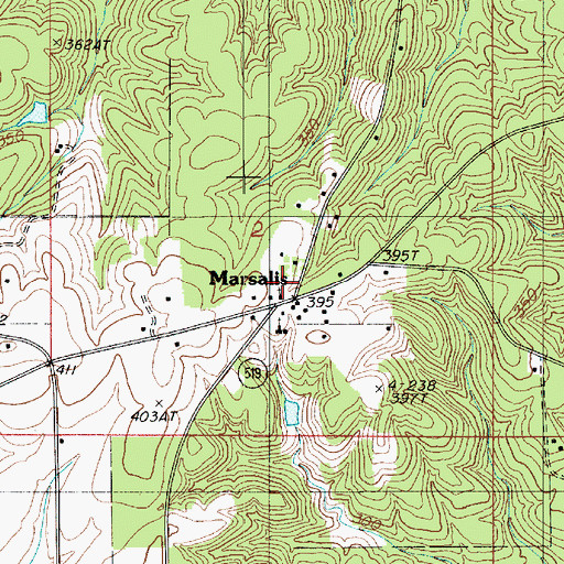 Topographic Map of Marsalis, LA