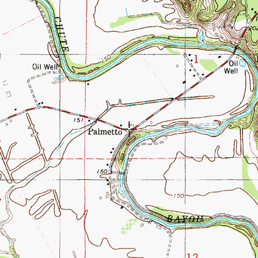 Topographic Map of Palmetto, LA