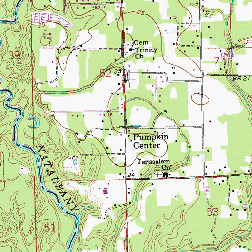 Topographic Map of Pumpkin Center, LA