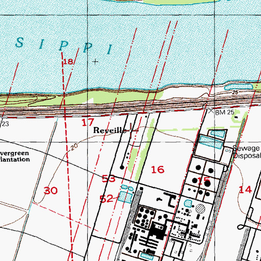 Topographic Map of Reveille, LA
