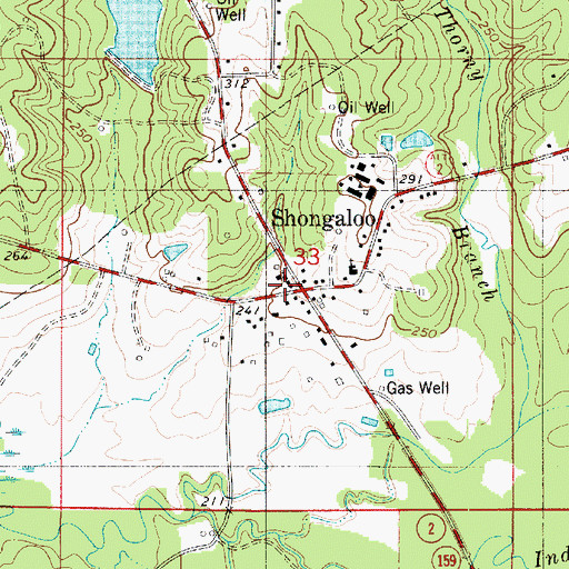 Topographic Map of Shongaloo, LA