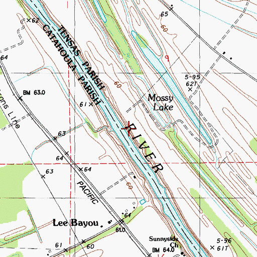 Topographic Map of Young Landing, LA