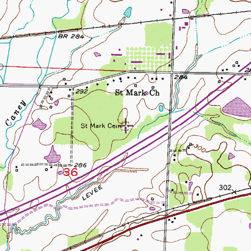 Topographic Map of Saint Mark Cemetery, AR