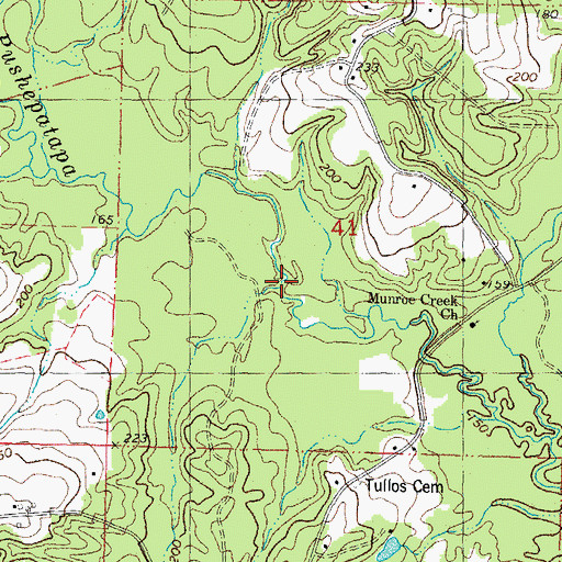 Topographic Map of Nelsons Branch, LA