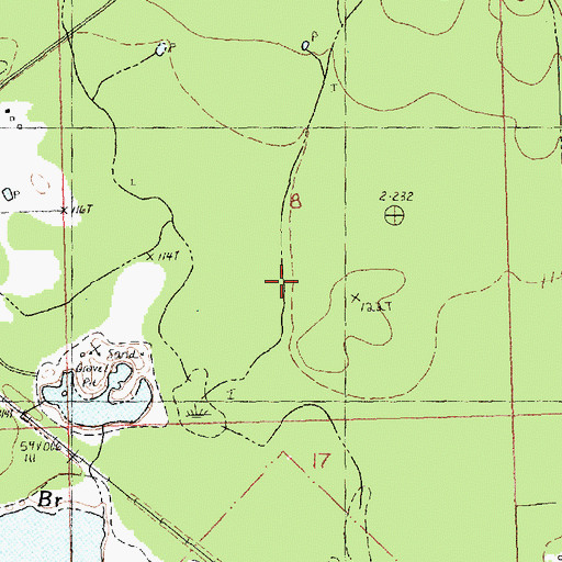 Topographic Map of Black Swamp, LA