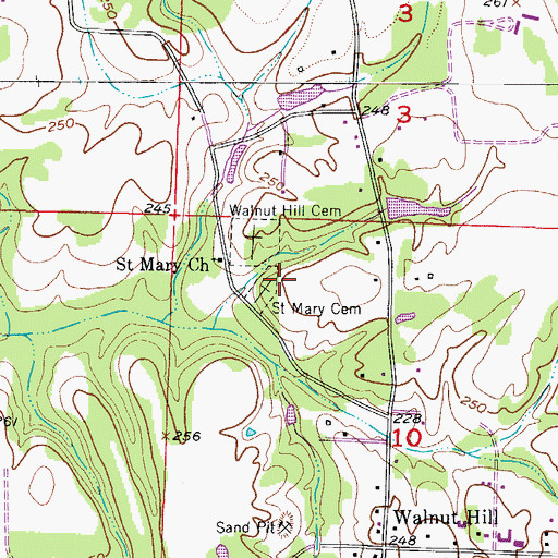 Topographic Map of Saint Mary Cemetery, AR