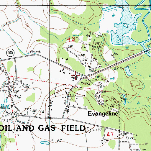 Topographic Map of Evangeline Elementary School, LA