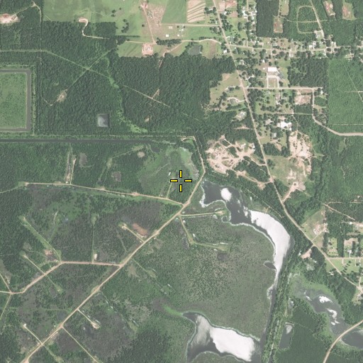 Aerial/Satellite Image of Oak Flat, LA