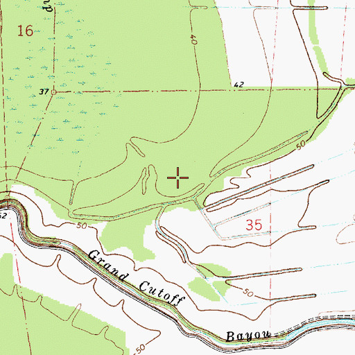 Topographic Map of Shaw Plantation, LA