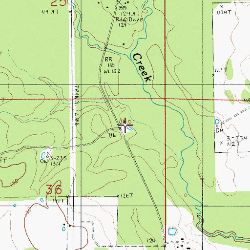 Topographic Map of Little Barnes Creek Gas Field, LA