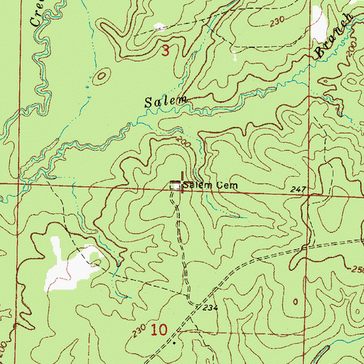Topographic Map of Salem Cemetery, AR