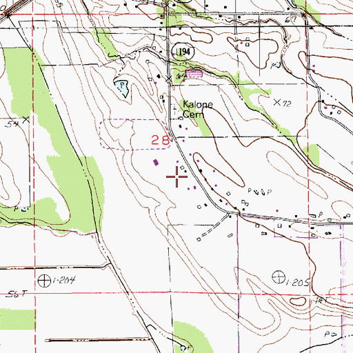 Topographic Map of Ward Five, LA