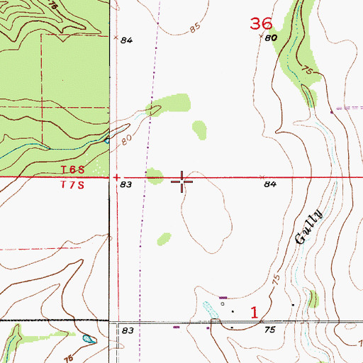 Topographic Map of Ward Six, LA