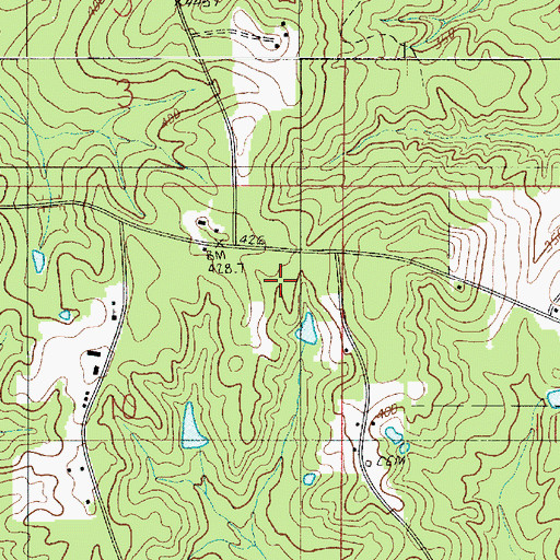 Topographic Map of Ward Four, LA