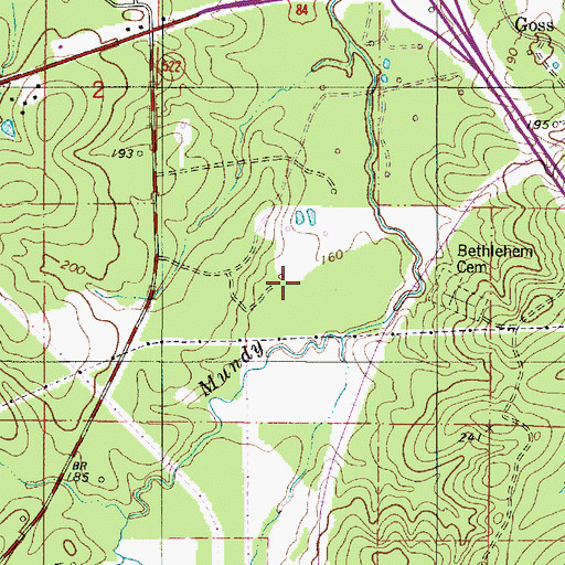 Topographic Map of Ward Five, LA