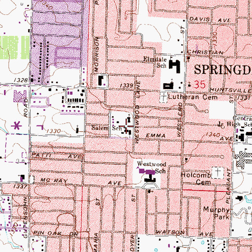Topographic Map of Salem School, AR