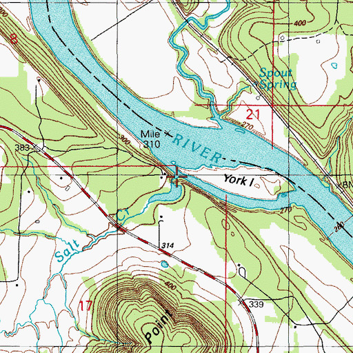 Topographic Map of Salt Creek, AR