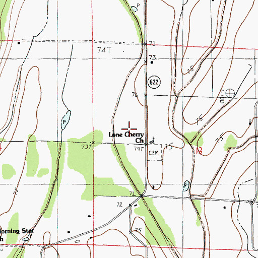 Topographic Map of Ward Five, LA