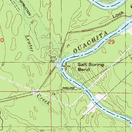 Topographic Map of Salt Spring Bend, AR