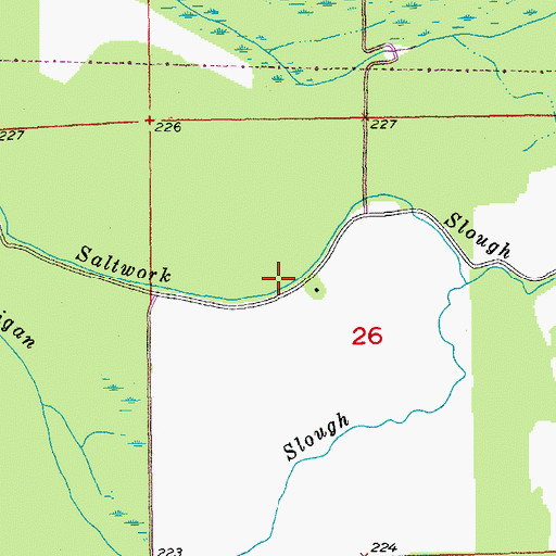 Topographic Map of Saltwork Slough, AR