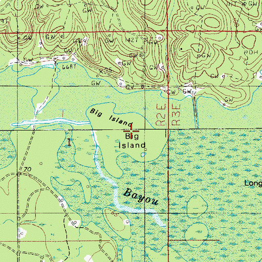 Topographic Map of Big Island, LA