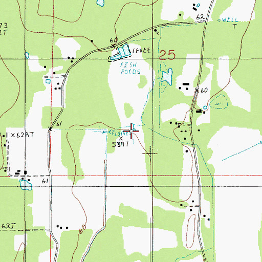 Topographic Map of Pilgrim Church Gas Field, LA