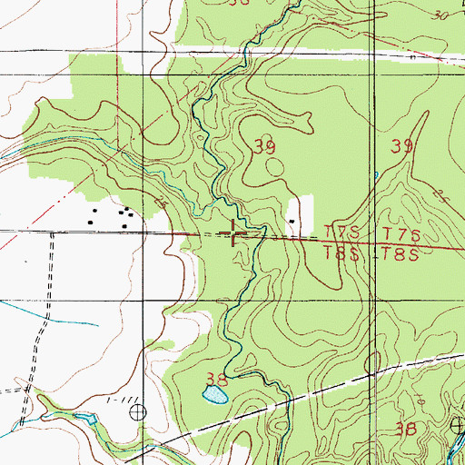 Topographic Map of Rogers Bayou Gas Field, LA