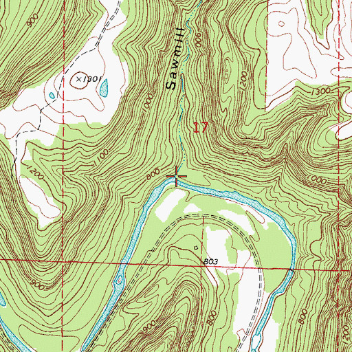 Topographic Map of Sawmill Hollow, AR