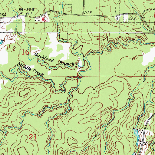 Topographic Map of Blue Lick Branch, LA