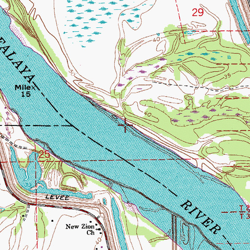 Topographic Map of Burlong Landing, LA