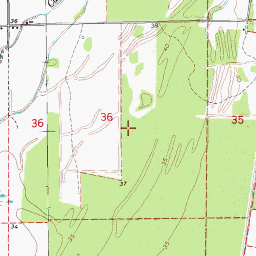 Topographic Map of Bayou Garwood Oil Field, LA
