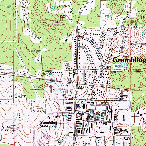 Topographic Map of Saint Benedict Catholic Church, LA