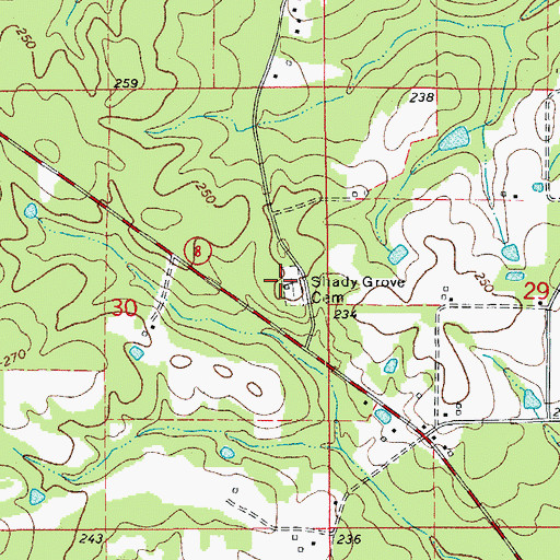 Topographic Map of Shady Grove Cemetery, AR