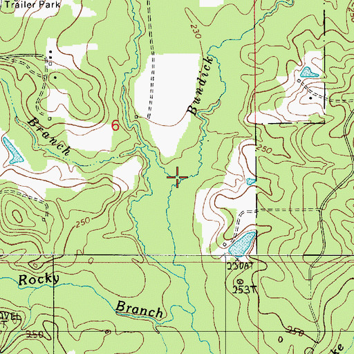 Topographic Map of Bear Branch, LA